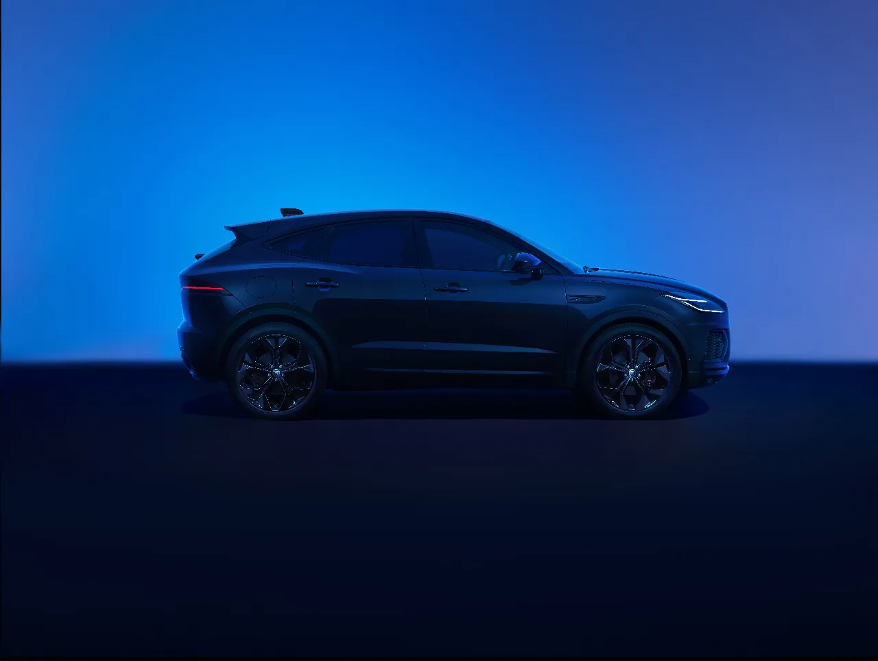 Jaguar Experience